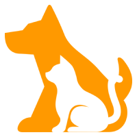 Animaux domestiques